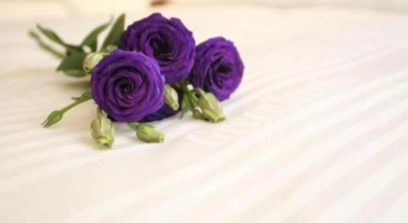 ***  Greentree Inn Luoyang Zhongzheng Street Express Hotel Kina